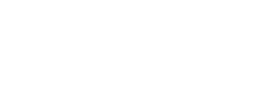 Логотип компании Palfinger